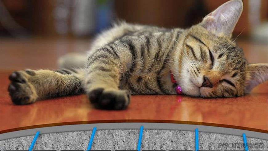 Piso Térmico: aquecimento para Pet Shops