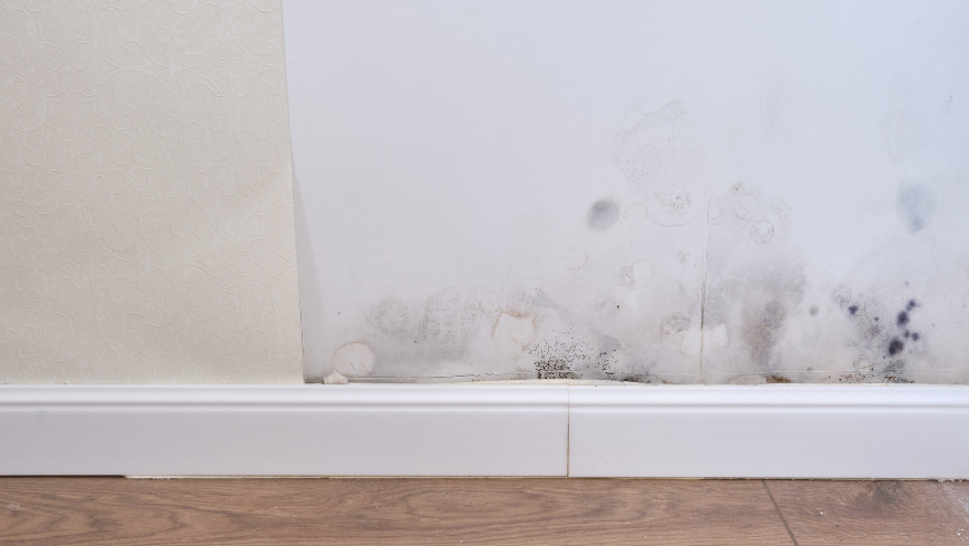 Mofo em casa é um problema comum, exceto para quem tem piso térmico